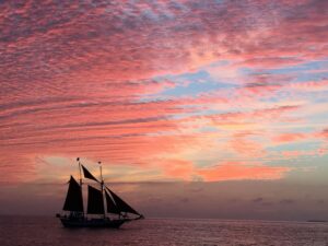 Into the Heart of the Wild